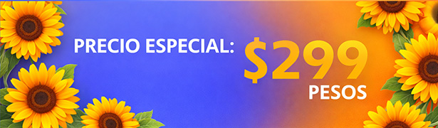 precio especial gavafute